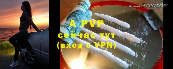 стафф Алексин