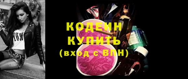 стаф Осинники