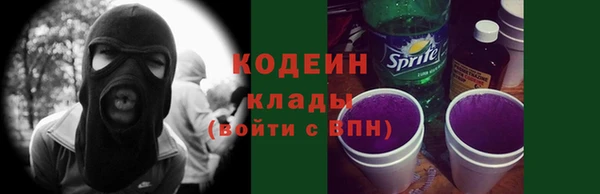 стаф Осинники