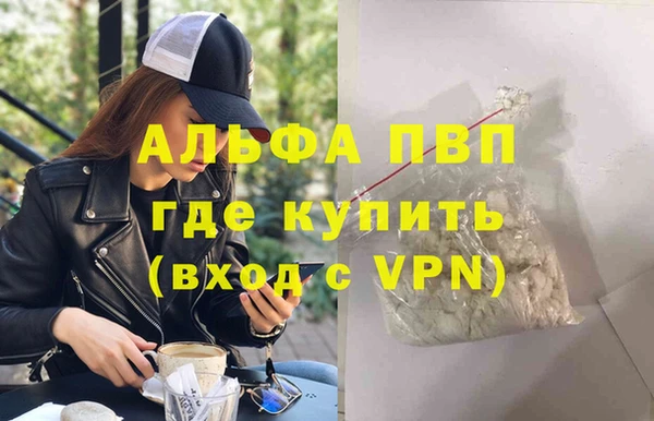 стаф Осинники